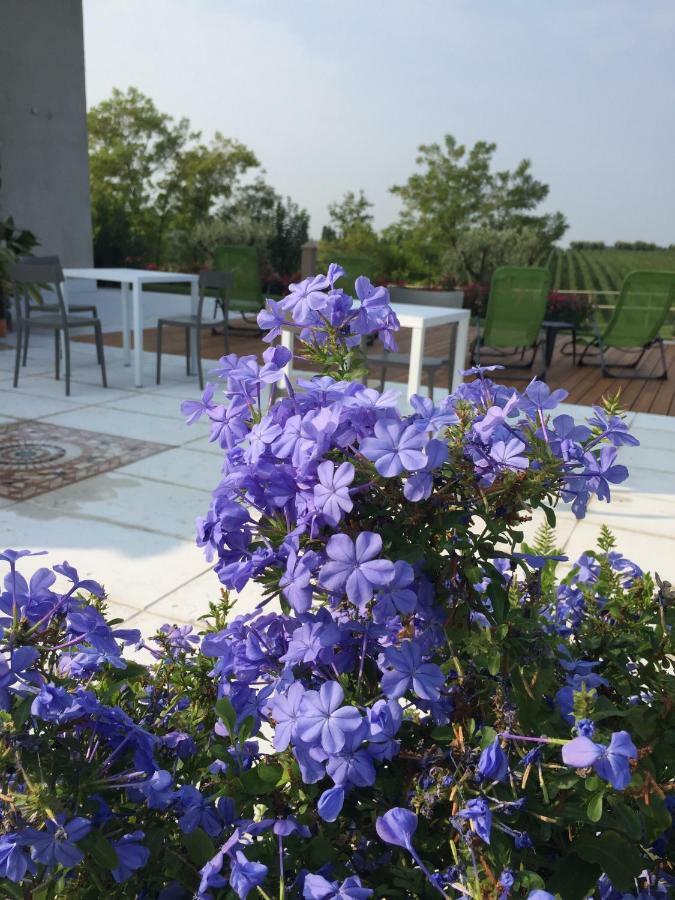 Villa Poggio Bardolino Exterior photo